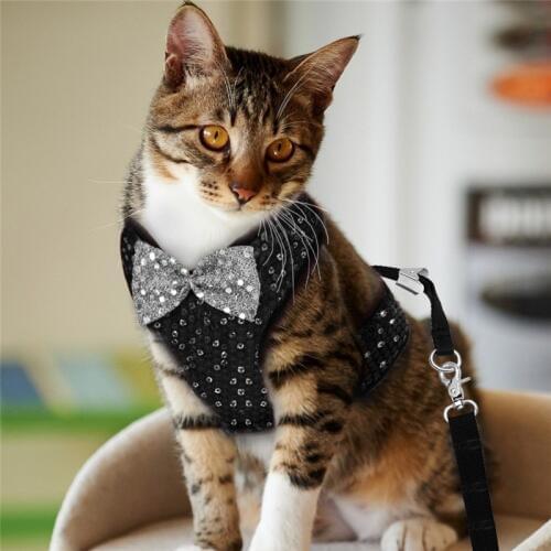 Fashion Small Dog Harness and Leash Set Pet Cat Vest Harness With Bowknot Mesh Padded For Small Puppy Dogs Chihuahua Yorkies Pug