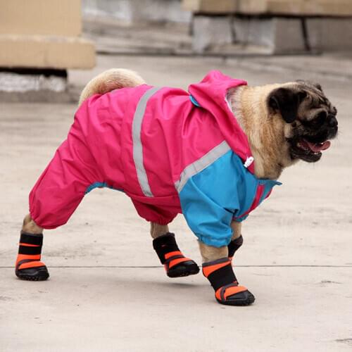 Outdoor Dog Sneakers Non-Slip Pet Sports Boots Hiking Climbing Shoes For Teddy Bichon Satsuma M6173