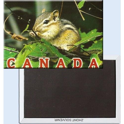 Canada Fridge Magnets 21506 natural region Tourist Gift