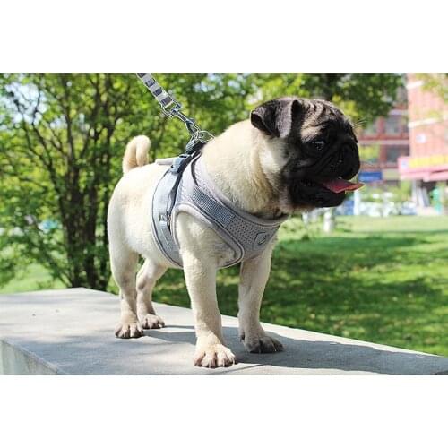 Dog Harness Vest Reflective Walking Lead Leash for Puppy Dog Breathable Mesh Fabric A1