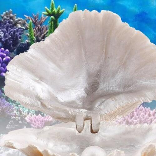 Resin Aquarium Shell Pearl Decoration Air Stone Bubbler Air Pump Decor Gift