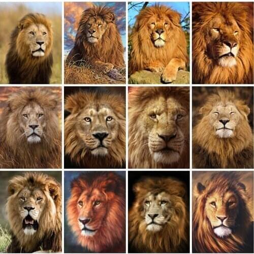 EverShine DIY Lion Diamond Embroidery Animals Cross Stitch Diamond Painting Rhinestone Art Bead Picture Kits Handwork Home Decor