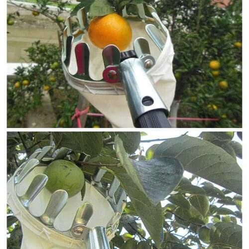 High-altitude Fruit Picking Machine Head Basket Picking Citrus Pear Apple Collector Portable Fruit Catcher Garden Picking Tool