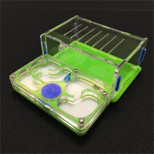 Ant-grape M plane moisture with feeding area ant nest,ant farm acrylic,insect ant villa pet advanced mania for house ants