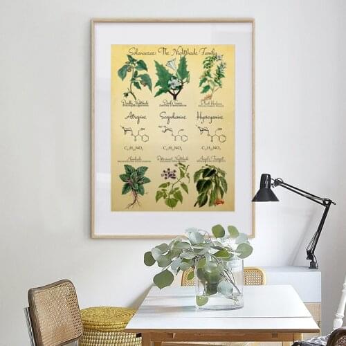 Vintage Botanical Poster Prints Deadly Nightshade Retro Halloween Decoration Painting Witchcraft Apothecary Herbs Canvas Picture