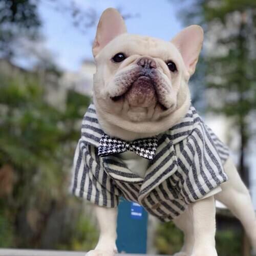 Fashion French Bulldog Winter Warm Wool Coat Undershirt Jacket Clothes for Small Medium Dogs Schnauzer Pug Yorkie Hoodie HEC08