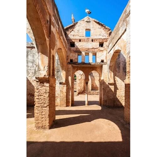 Vintage Arch Brick Wall Photo Backgrounds Customized Photography Backdrop for Children Baby Portrait Scenic Photoshoot Props