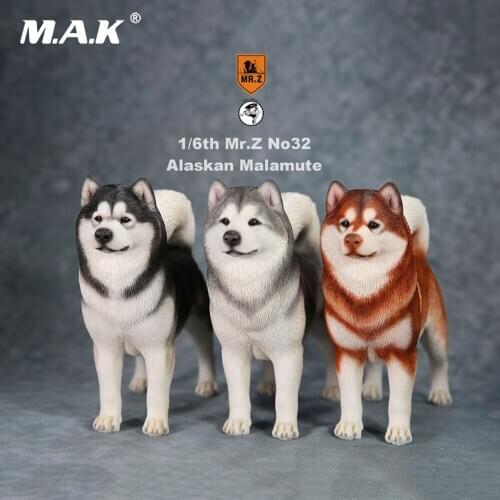 For Collection 1/6 Scale Mr.Z No.032 Resin Material Alaskan Malamute Dog Animal Model Toy for 12 inches Action Figure Collection