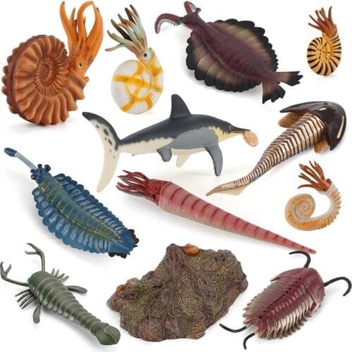 Prehistoric Marine Sea Life Animal Nautilus Cameroceras Opabinia Trilobita Figurines Animal figures Models