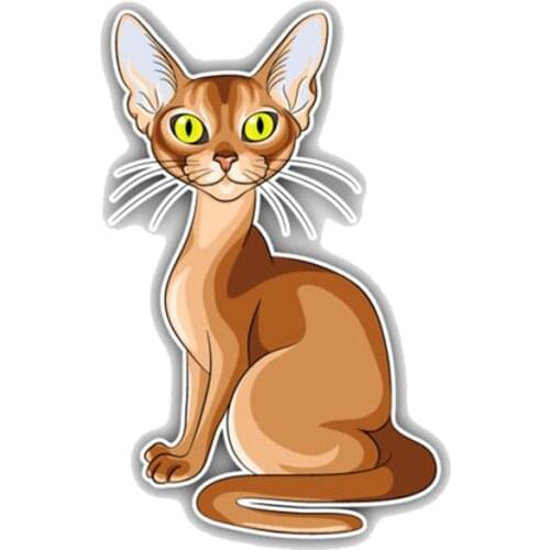 Novelty Creative Abyssinian Breed Cat Car Stickers Motorcycle Cover Scratches Waterproof Car Vinyl KK Decals PVC 14cm X 8.8cm