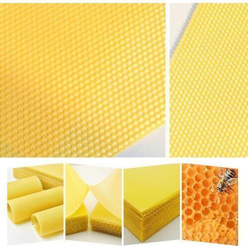 Beekeeping Bee Nest Beekeeping Honeycomb Foundation BeesWax Frames Honey Hive Garden Bee Beehive Nest Beekeeping Tool