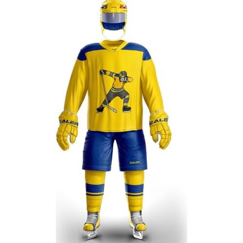 Cool hockey ice hockey jerseys with team logo accept custom name and number H6100