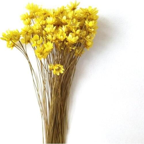 50pcs/bouquet Mini Star Chrysanthemum Dried Flower Floral Arrangement Material Diy Shooting Props Home Party Decoration