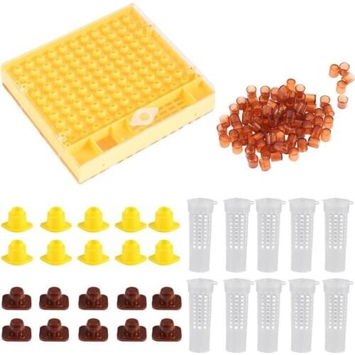 Beekeeping Tool Set Beekeeping and Transfer-free King Box Queen Bee Cultivation Rearing Cultivating Box Beekeeping Equipment Set