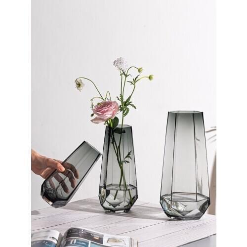 Nordic Minimalist Creative Glass Vase Transparent Water Planting Vase Rose Lily Living Room Decoration Flower