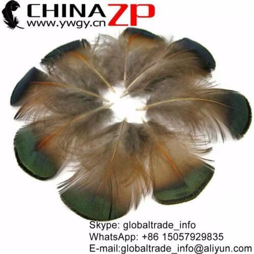 CHINAZP Factory 100% Exporting 100pcs/lot 5-8cm GREEN BRONZE Golden Pheasant Plumage Feathers