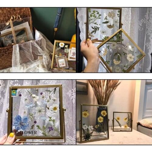 Prettyia 12x Maple Fruit Dried Flower Craft DIY Phone Case Floral Tips Leaf