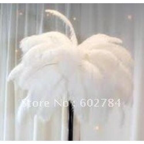 EMS Free shipping 100pcs/ lot 22-24inch 55-60cm white ostrich feather ostrich plumage wholesale