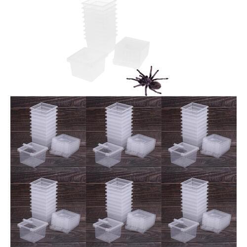 60Pcs/Set Insect Reptile Spider Terrariums Breeding Box Hatching Container