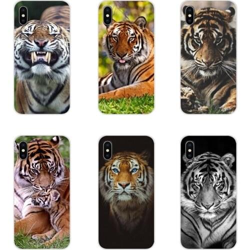 Animal tiger Cub For Huawei Mate Honor 4C 5C 5X 6X 7 7A 7C 8 9 10 8C 8X 20 Lite Pro Accessories Phone Cases Covers
