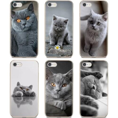 Soft Case Housing For Huawei Nova 2 2i 3 3i Y3 Y5 Y6 Y7 Y9 Prime 2015 2016 2017 2018 2019 Beautiful Grey British Shorthair Cat