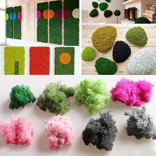 Natural Mini Eternal Plant Moss Artificial Flower Micro Landscape Wall DIY Fake Flowers Dried Grass Supplies