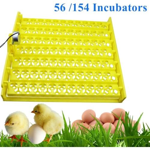 56 /154 Eggs Incubator for Pigeon Chicken Duck Bird Eggs Hatcher Automatic Incubators 220V Incubator Trays with Auto Turn Motor