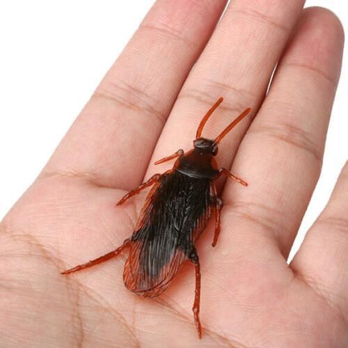 Shock Toys Simulation Cockroaches Xiaoqiang Insect Magic Props AN88
