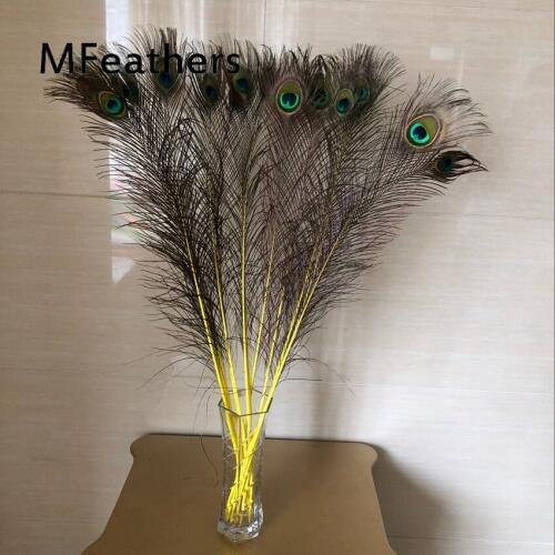 Top quality peacock feathers 1000 Pcs, length 90-100 CM beautiful natural peacock feather Diy jewelry Decorative Deco fittings