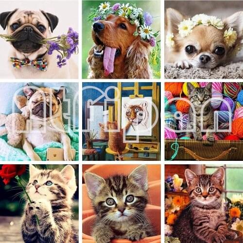 Diamond Embroidery Cat and dog Picture 5D Diamond Painting Full Square Mosaic Lovely Animals Cross Stitch Kit Home Decoration