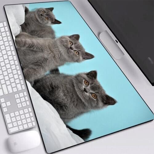 Animal Gray Cat Printed Pad HD Wallpaper Play Mat Large Personality Custom Table Mat Mice Pad 70x40/80x40/90x40cm for DOTA Games