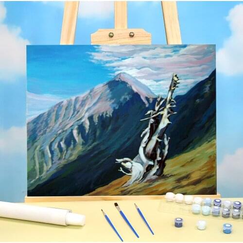 Landscape Hoverla. Etude Painting By Numbers Complete Kit Acrylic Paints 40*50 Painting On Canvas New Design Handiwork