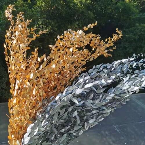 60g/30-40cm,Natural Dried Eucalyptus leaves Bouquet,Golden Silver Eternal Display plant for Wedding Home Decoration accessories