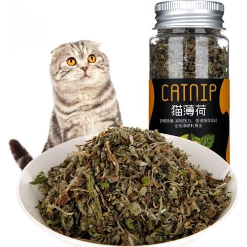 Canned organic 100% natural high-quality catnip cow grass mint flavor catnip interactive toy healthy safe edible for clean teeth