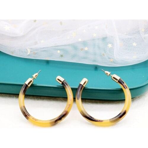 Earrings Semicircle Leopard Print Resin Stud C Shape Party Jewelry