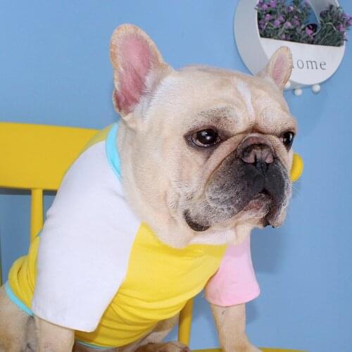 Tiger Dog New Summer Dog T-shirt French Bulldog Pure Cotton Dog Clothes For Small Medium Corgi Teddy Dog Puppy Cat Pet Clothing