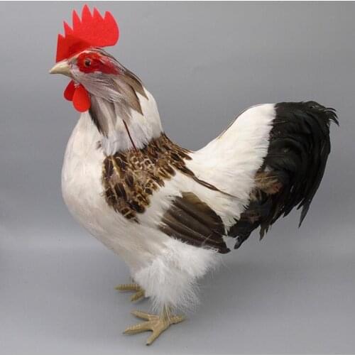 ZILIN Lifesize Good luck Rooster /Simulated Rooster Model 39*17*43 cm