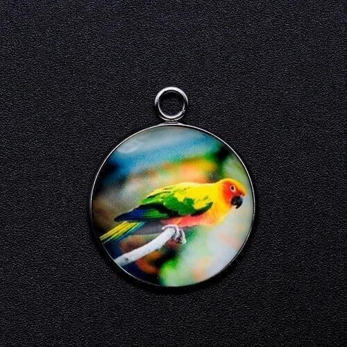 5pcs/lot Beautiful Parrot Cabochon Jewelry Pendant DIY Charms Wholesale Bracelet Making Charm OEM Order Accepted Factory Store