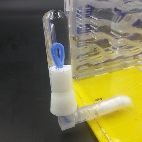 1 Pcs Ants drinker External Water Feeder drinking bowl for ants Ant Nest House Water Feeding Area Pet Anthill Drinking Bottle