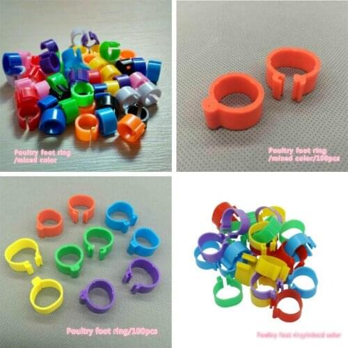 100pcs/bag plastic foot ring foot ring pigeon quail foot ring farm animal identification tool color foot ring mixed color
