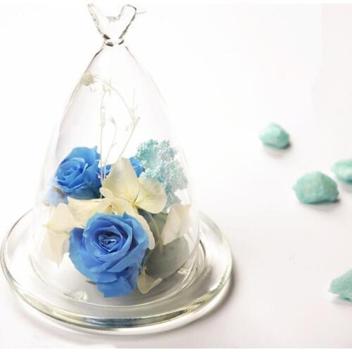 2sets/pack 8.5*15cm Bird Top Glass Dome Vase Home Decorative Diameter=8.5cm Height=15cm Glass Cover Friend Business Gift