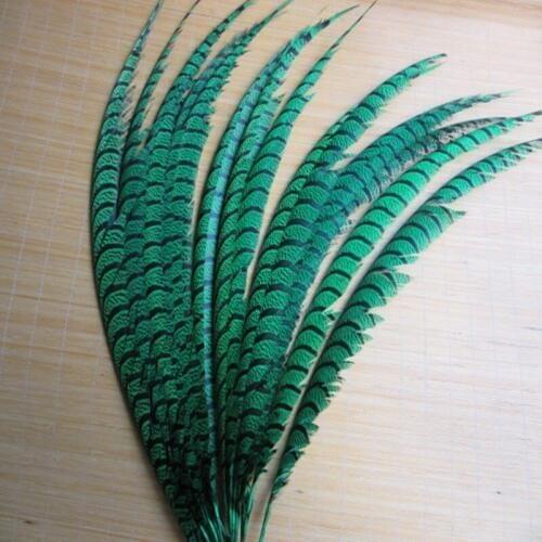 20pcs 32-36 inche/80-90cm green Lady Amherst Pheasant Feather pheasant feathers for carnival party costumes cosplay decoration