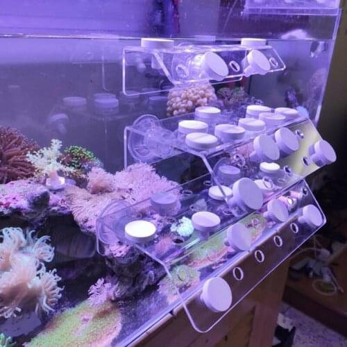 Ceramic Coral Frag Disks Coral Frag Plugs T-Shape Coralline Plug Coral Frag Rack Plates Brackets Aquarium Accessories