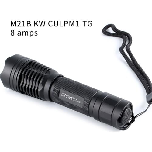 M21B with KW CULPM1.TG (8A current),12 groups