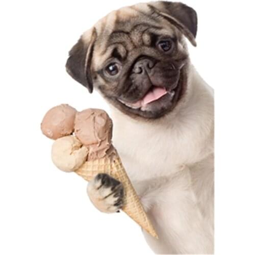 Dog Funny Patches for Clothing Biker Badge Heat transfer printing Strange things Animal Patch Clothes Stickers Christmas Gifts