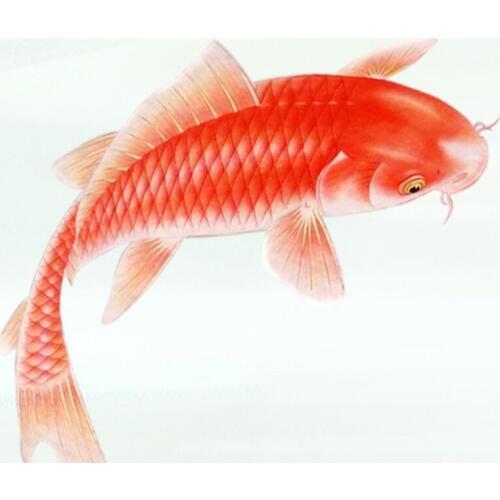 Diy embroidery with diamonds needlework diamond painting mosaic dmc paint animals red fish cross-stitch decor handwork AS036