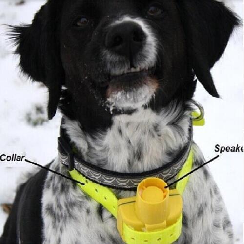 Waterproof Hunting Dog Beeper Collar Pet Dog Training Collar Built-in Buzzer and Yellow Color For Small Medium Large Dogs