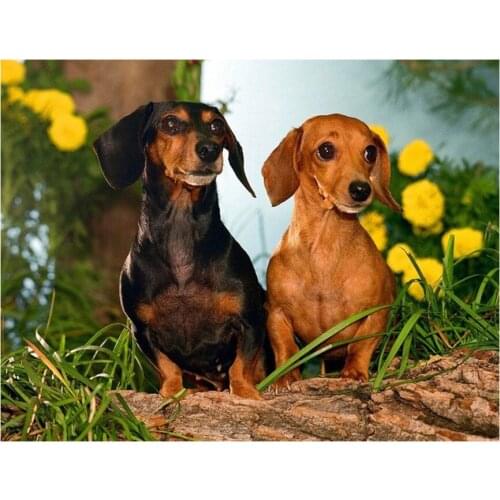 5d diy Diamond Painting Dachshund dog Diamond Embroidery animal cute pet Cross Stitch Full Square Round Diamond Mosaic stickers