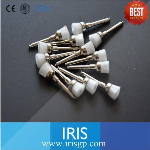 [IRIS] 200 Pcs 2# Dental White Nylon Pen Type Prophy Brushes Polishing Brushes with Handle for Stain Removal and Polishing