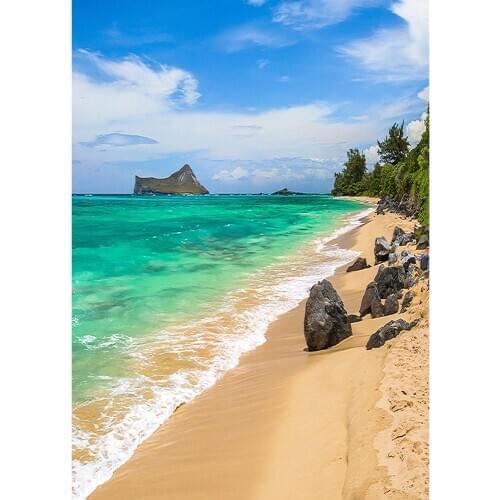 Sea Big Stones Beach Scenery Photo Background Computer Printed Backdrop for Portrait Children Baby Photocall Photography Props